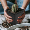1/2/3/5 Gallon Plastic Grow Pots Plant Bonsai Square Garden Container 10 Pack US Netuera