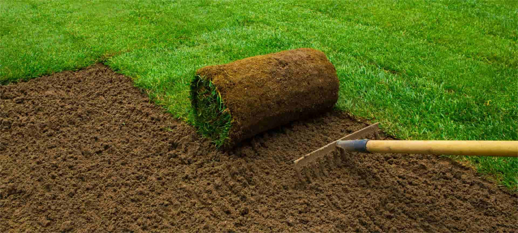 Weed protection
