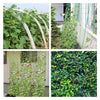 30/50/100/164/250/328/1000ft Green Plastic Trellis Netting for Climbing Plants Netuera