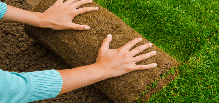 Realistic and closer to nature grass-proof cloth