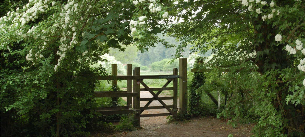 Fencing
