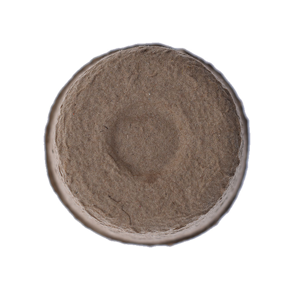 Netuera 100PACK Biodegradable Paper Pulp Peat Pots Plant Nursery Cup Tray Garden new Netuera