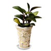 Netuera 10PCS&10In Clear Thick Plastic Heavy Duty Sturdy Plant Saucer Drip Trays Fit for pot Netuera