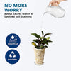 Netuera 10PCS&10In Clear Thick Plastic Heavy Duty Sturdy Plant Saucer Drip Trays Fit for pot Netuera