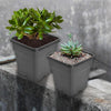 Netuera 10PCS 7 Gallon Black Plastic Plant Nursery Garden Label Pot Marker Garden Stake Netuera