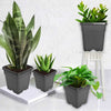 Netuera 10PCS 7 Gallon Black Plastic Plant Nursery Garden Label Pot Marker Garden Stake Netuera