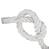 Netuera 3/4 Inch Braided Rope 100ft Rigging Rope High Strength 2038 lbs Netuera