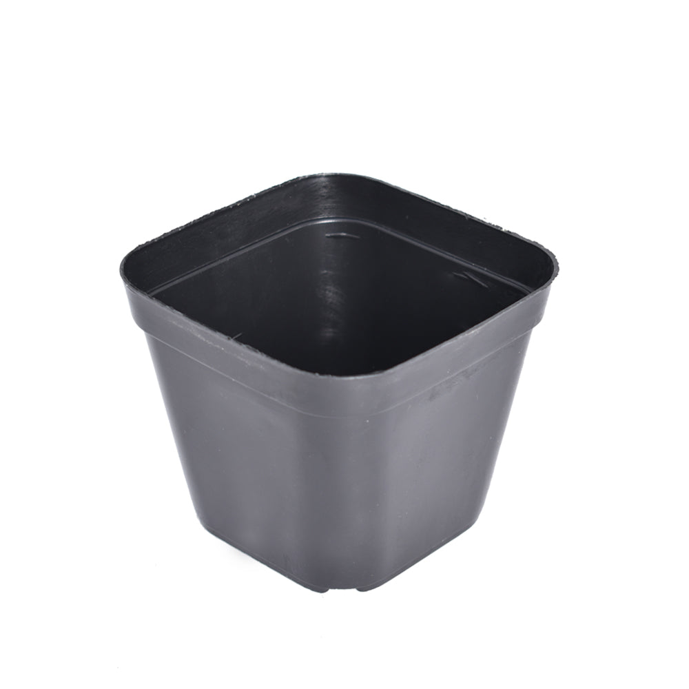 Netuera 4" Square Plastic Durable Lightweight Flexible Nursery Gage Dura Pots Plants Netuera
