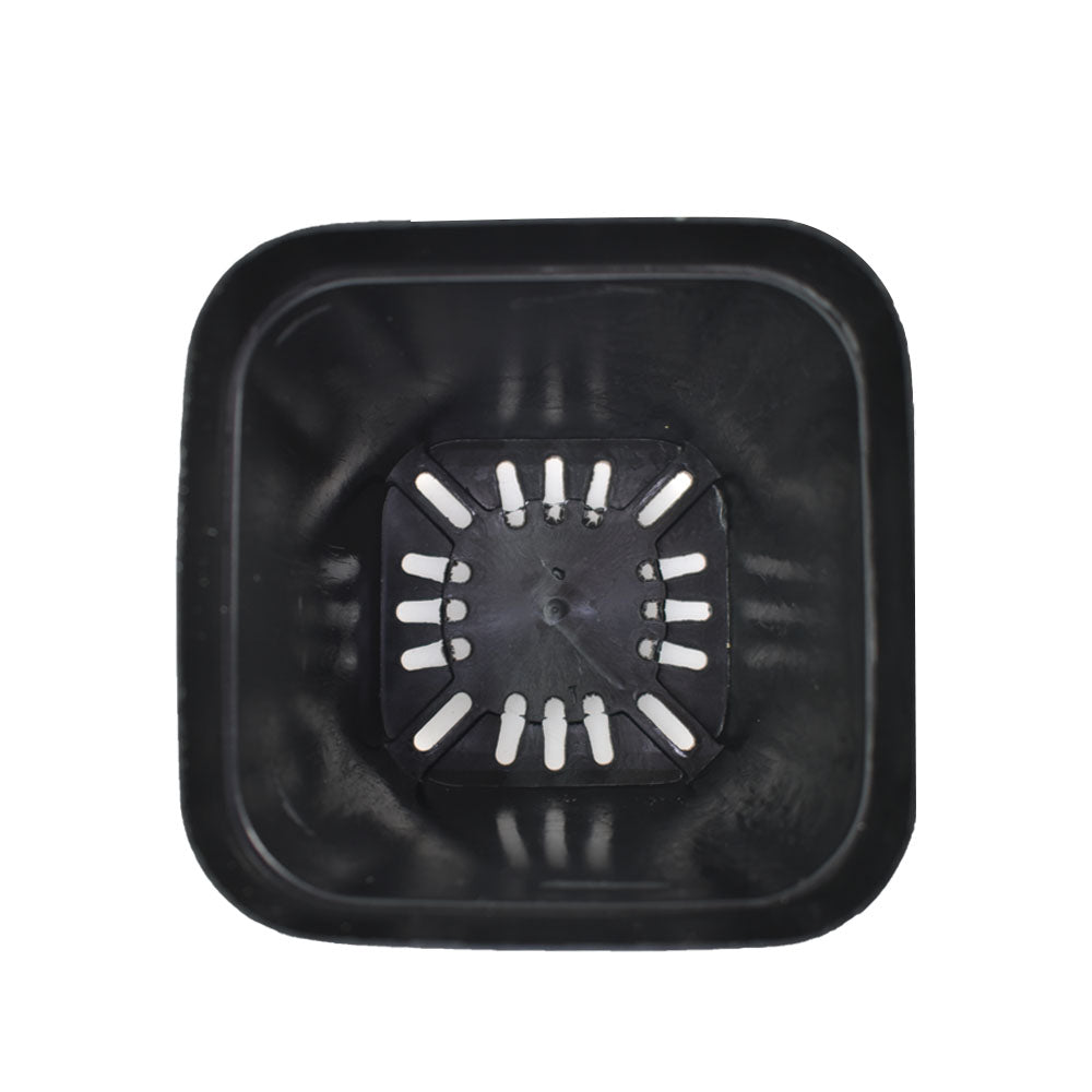 Netuera 4" Square Plastic Durable Lightweight Flexible Nursery Gage Dura Pots Plants Netuera