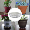 Netuera 5 Pack 10 in Clear Thick Plastic Heavy Duty Sturdy Plant Saucer Drip Trays Fit for pot Netuera