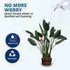 Netuera 5 Pack 12 in Clear Thick Plastic Heavy Duty Sturdy Plant Saucer Drip Trays Fit for pot Netuera
