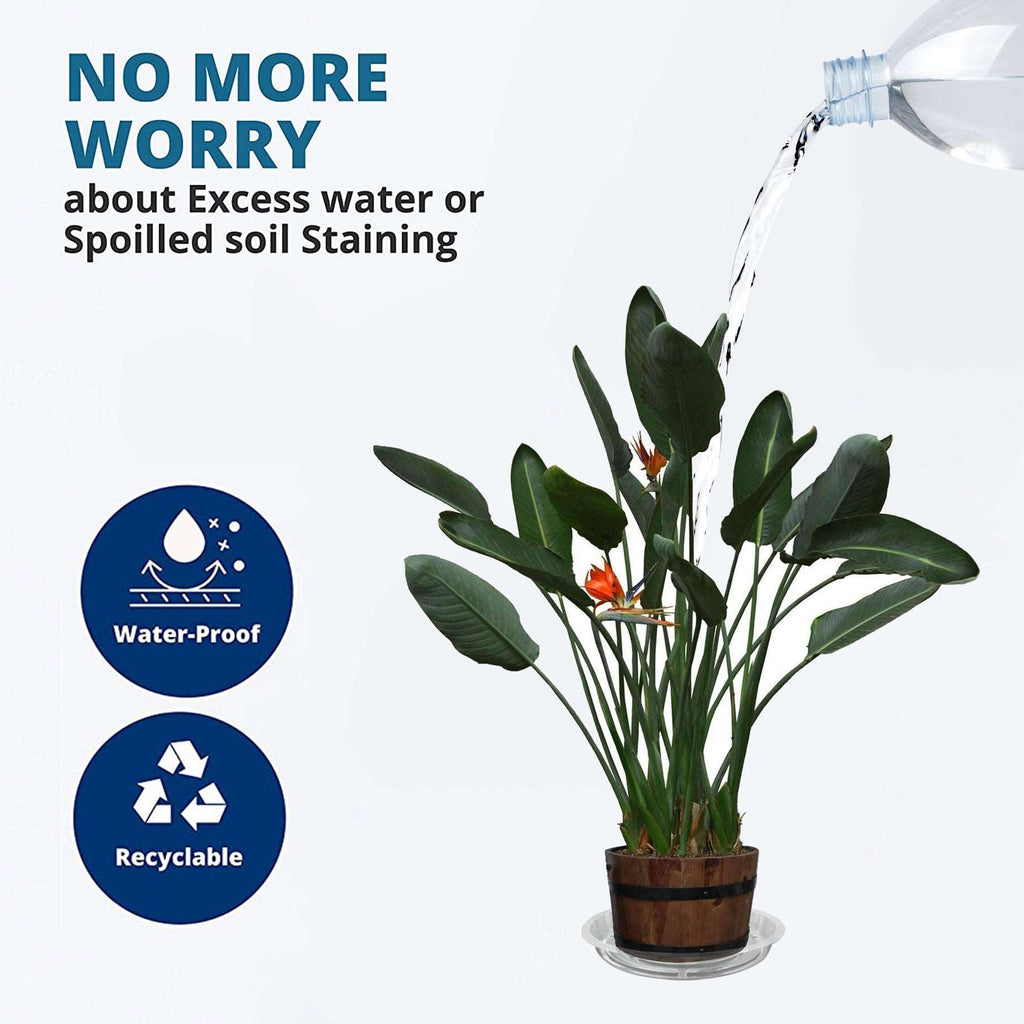 Netuera 5 Pack 12 in Clear Thick Plastic Heavy Duty Sturdy Plant Saucer Drip Trays Fit for pot Netuera
