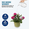 Netuera 5 Pack 6 in Clear Thick Plastic Heavy Duty Sturdy Plant Saucer Drip Trays Fit for pot Netuera