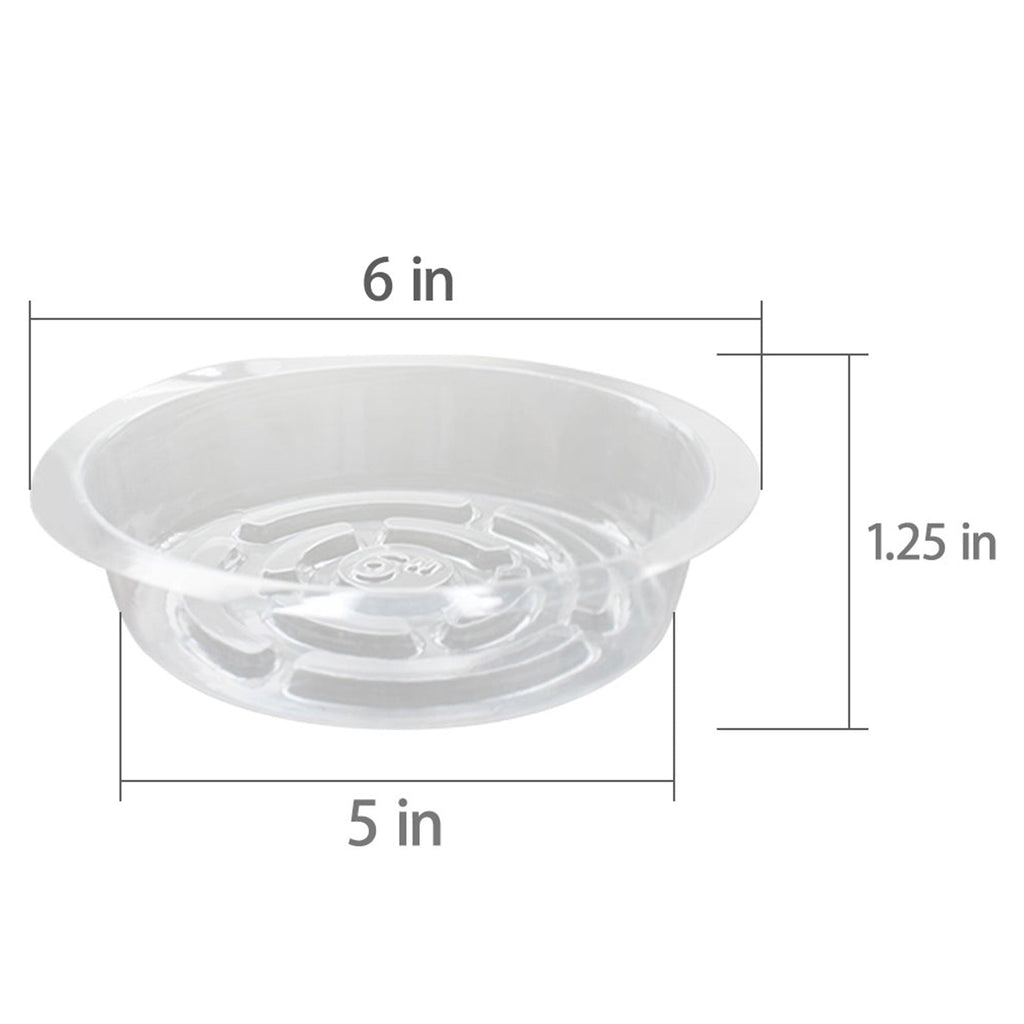 Netuera 5 Pack 6 in Clear Thick Plastic Heavy Duty Sturdy Plant Saucer Drip Trays Fit for pot Netuera