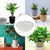 Netuera 5 Pack 6 in Clear Thick Plastic Heavy Duty Sturdy Plant Saucer Drip Trays Fit for pot Netuera