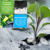 Netuera 6ft*16ft Heavy Duty Weed Barrier Garden Landscape PP Fabric Woven Ground Cover Netuera