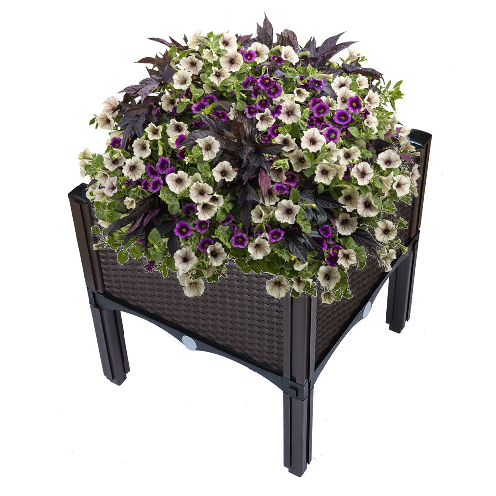 Netuera Elevated Planter Box Raised Garden Bed Kit Vegetable Herb Flower Patio Grow Yard Netuera