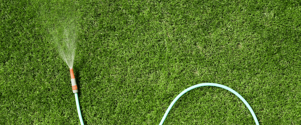 The best garden hose: can help you water your plants more easily