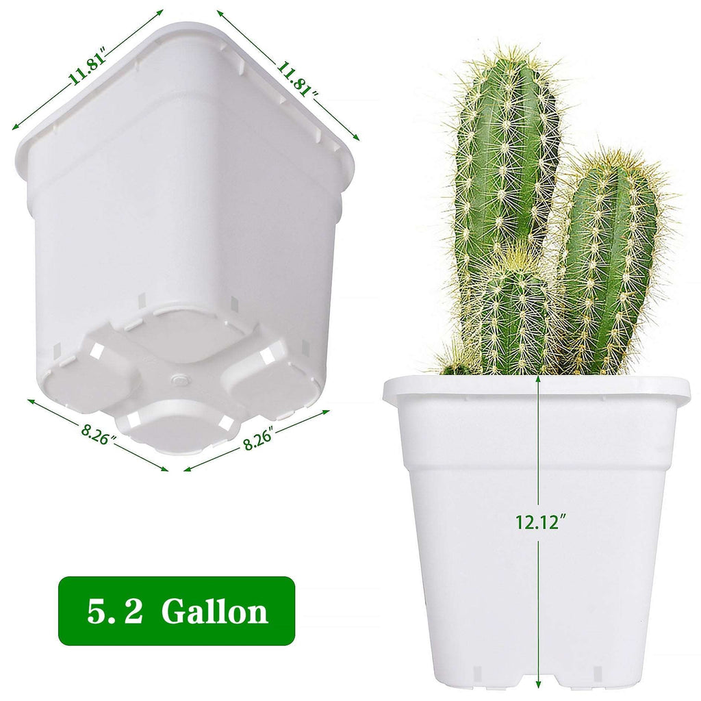 1/2/3/5 Gallon Plastic Grow Pots Plant Bonsai Square Garden Container 10 Pack US Netuera