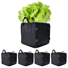 5-Pack Square Grow Bags Thick Fabric Planting Pots with Handles for Garden Netuera