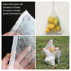 NEW 50/100pcs Garden Plant Fruit Protect Drawstring Net Bag Against Insect Bird Netuera
