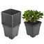 Netuera 10PCS 7 Gallon Black Plastic Plant Nursery Garden Label Pot Marker Garden Stake