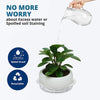 Netuera 10PCS&8In  Clear Thick Plastic Heavy Duty Sturdy Plant Saucer Drip Trays Fit for pot Netuera