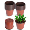 Plastic Plant Flower Pots Nursery Seedlings Pot Plant 100Pcs Netuera